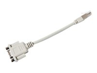 Brother - Adaptateur série - RJ-25 (M) pour DB-9 (M) - pour Brother TD-2020, TD-2120N, TD-2130N, TD-2130NHC; P-Touch PT-P900W, PT-P950NW PASCA001